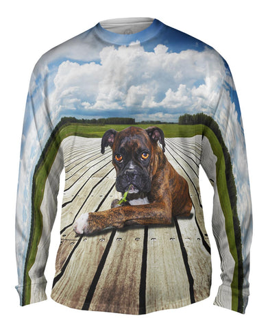 Boxer On Deck