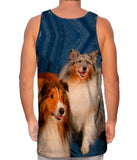 Portrait Collies