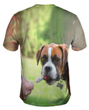 Boxer Loves Ice Cream