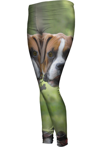 Boxer Loves Ice Cream