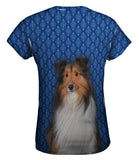 Serious Collie