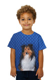 Kids Serious Collie