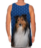 Serious Collie