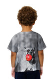 Kids My Ball Mean Boxer