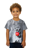Kids My Ball Mean Boxer