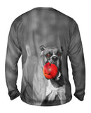 My Ball Mean Boxer