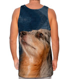 Victorious Collie