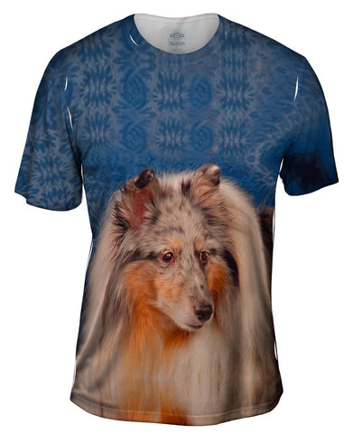 Bewildered Collie