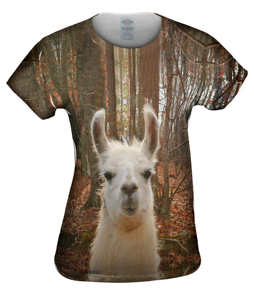 You Don_#_T Know Llama Womens Top