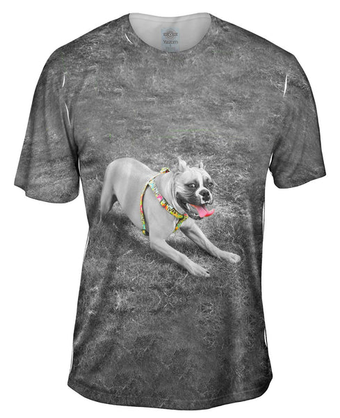 Boxer With Colorful Harness&nbsp;Mens T-Shirt