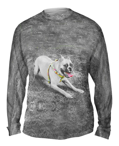 Boxer With Colorful Harness Mens Long Sleeve