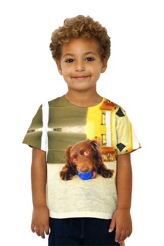 Kids Playful Dachshund