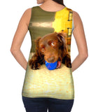 Playful Dachshund