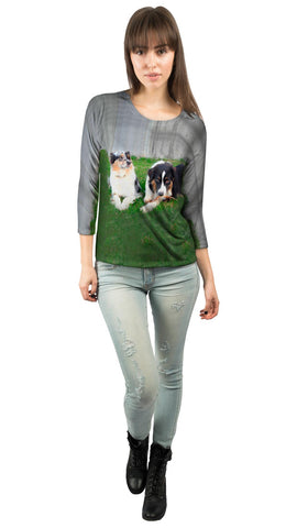 Social Collies