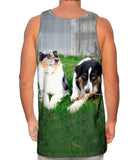 Social Collies