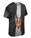Worried Horse