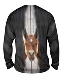 Worried Horse