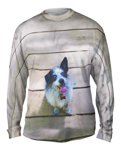Sparkling Dog On Deck