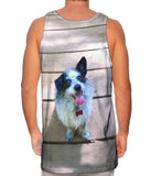 Sparkling Dog On Deck