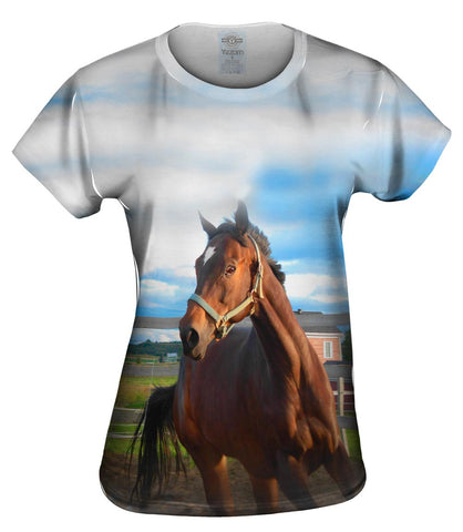 Eager Horse