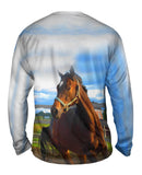 Eager Horse