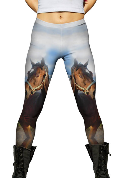 Eager Horse&nbsp;Womens Leggings