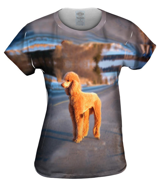Dusty Poodle Womens Top