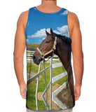 Lovely Horse