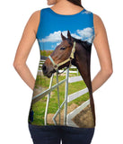 Lovely Horse