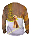 Poodle Going North