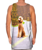 Poodle Going North