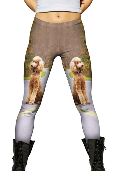 Poodle Going North&nbsp;Womens Leggings