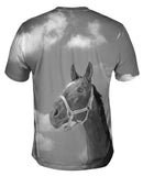 Monochrome Adventure Horse