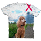 Aspiring Poodle Outdoors