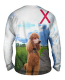 Aspiring Poodle Outdoors