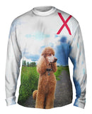 Aspiring Poodle Outdoors