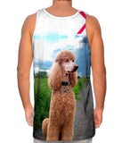 Aspiring Poodle Outdoors