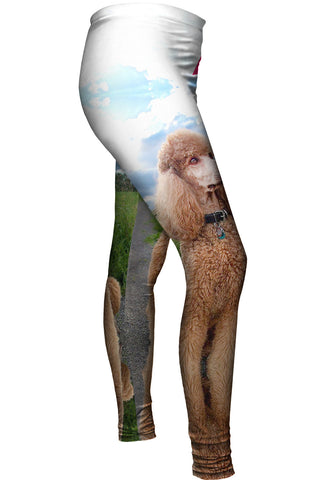 Aspiring Poodle Outdoors