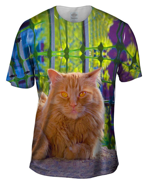 Distinguished Cat Mens T-Shirt