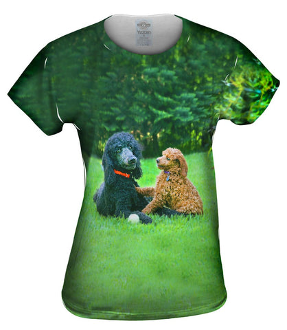 Poodles Enjoy Scenery