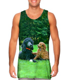 Poodles Enjoy Scenery
