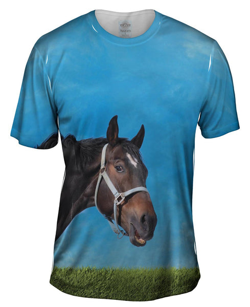 Curious Black Horse Mens T-Shirt
