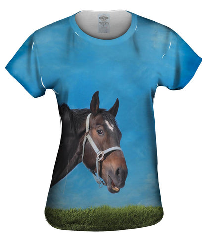 Curious Black Horse