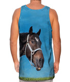 Curious Black Horse