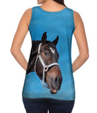 Curious Black Horse