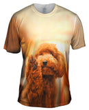 Poodle High Five