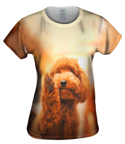 Poodle High Five