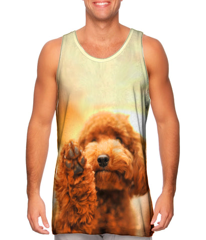 Poodle High Five