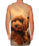 Cutest Poodle Ever
