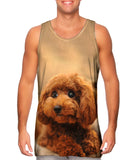 Cutest Poodle Ever
